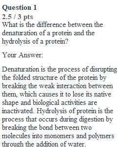 Lab 4 Quiz